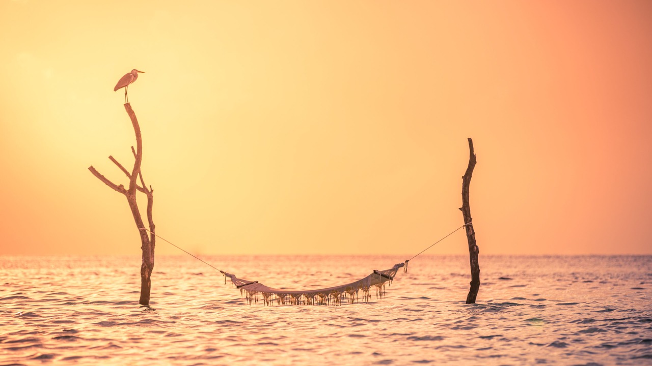 Photo of Others in Vilu Reef