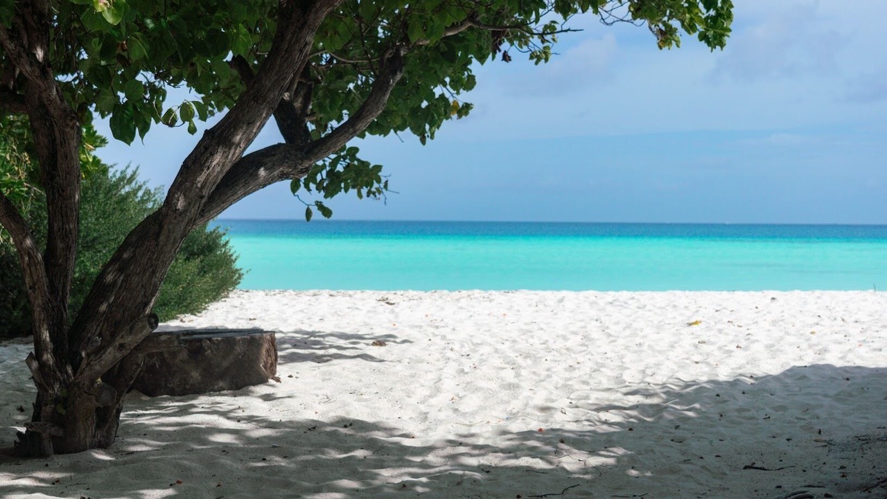 Photo of Others in Dhigurah