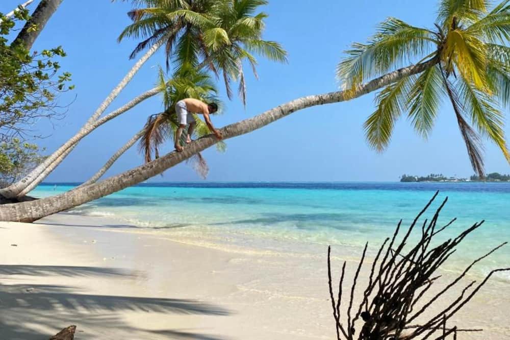 Photo of Others in Felidhu Atoll
