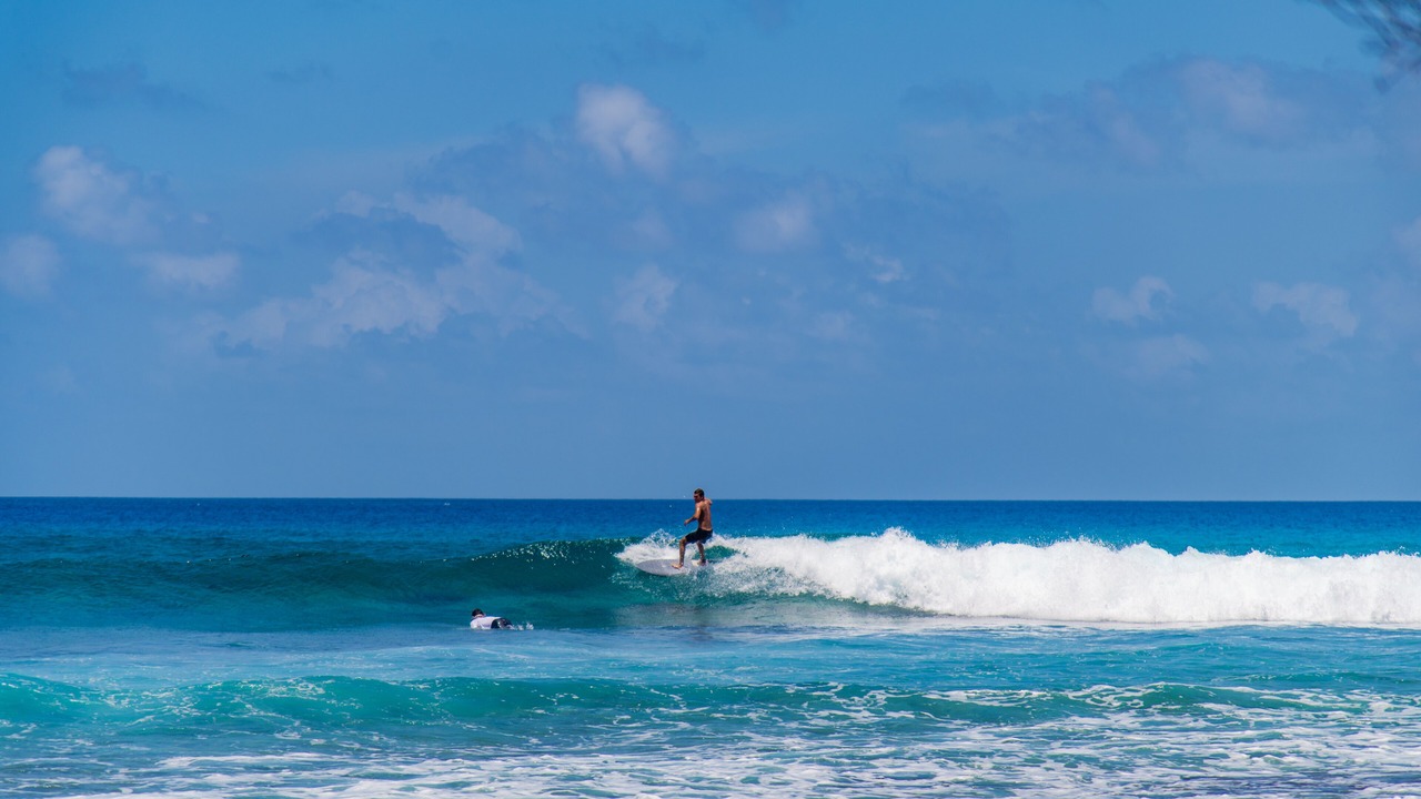 Photo of Others in Thulusdhoo Island