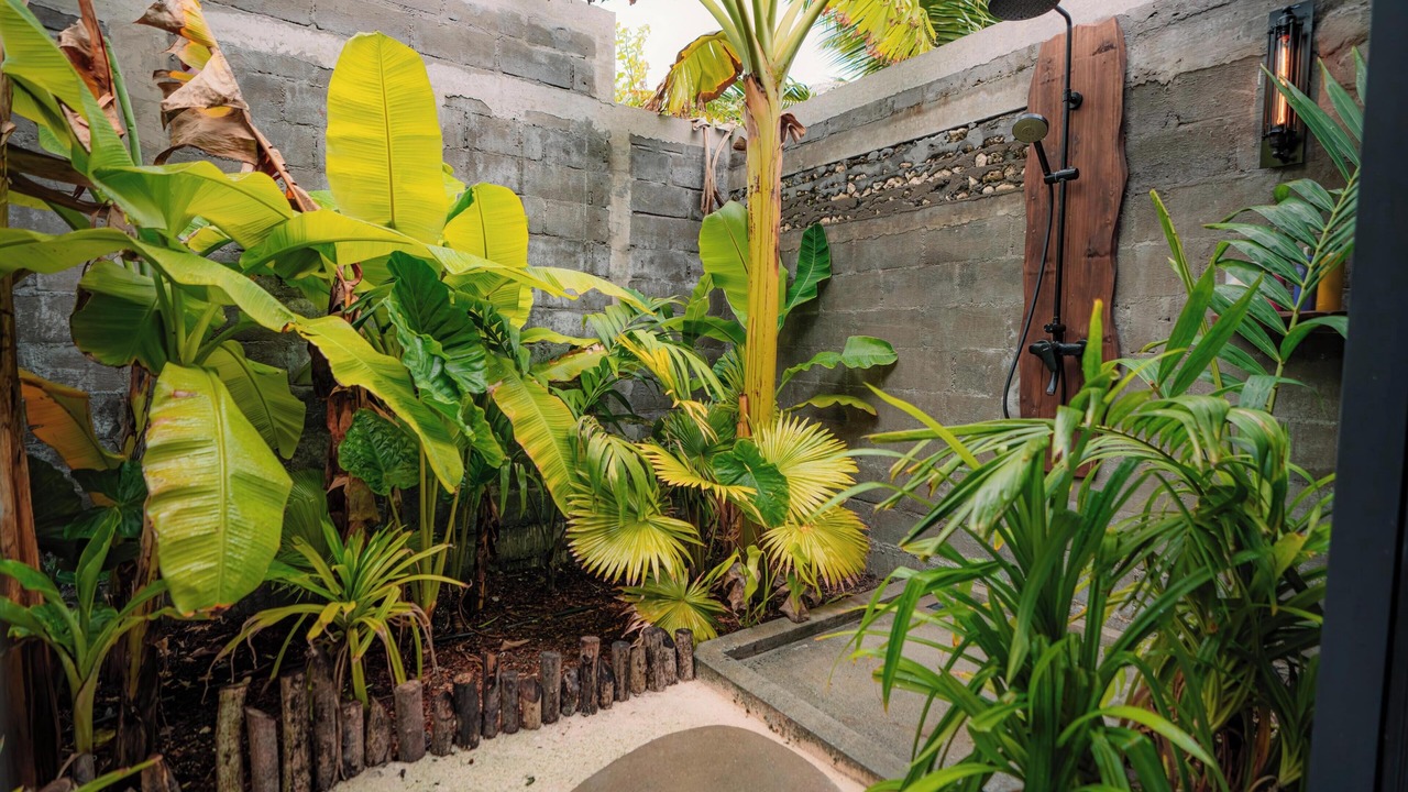Photo of Outdoor in Kanifinolhu Island