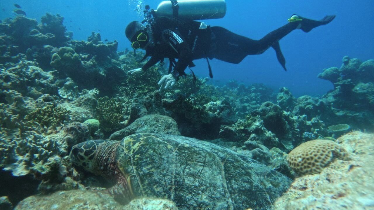 Photo of Others in Kanifinolhu Island