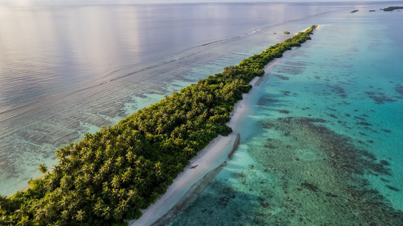Photo of Others in Dhigurah