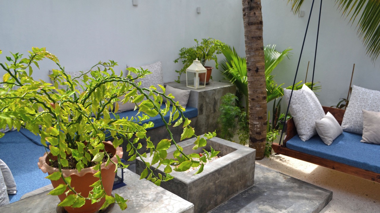 Photo of Others in Dharavandhoo