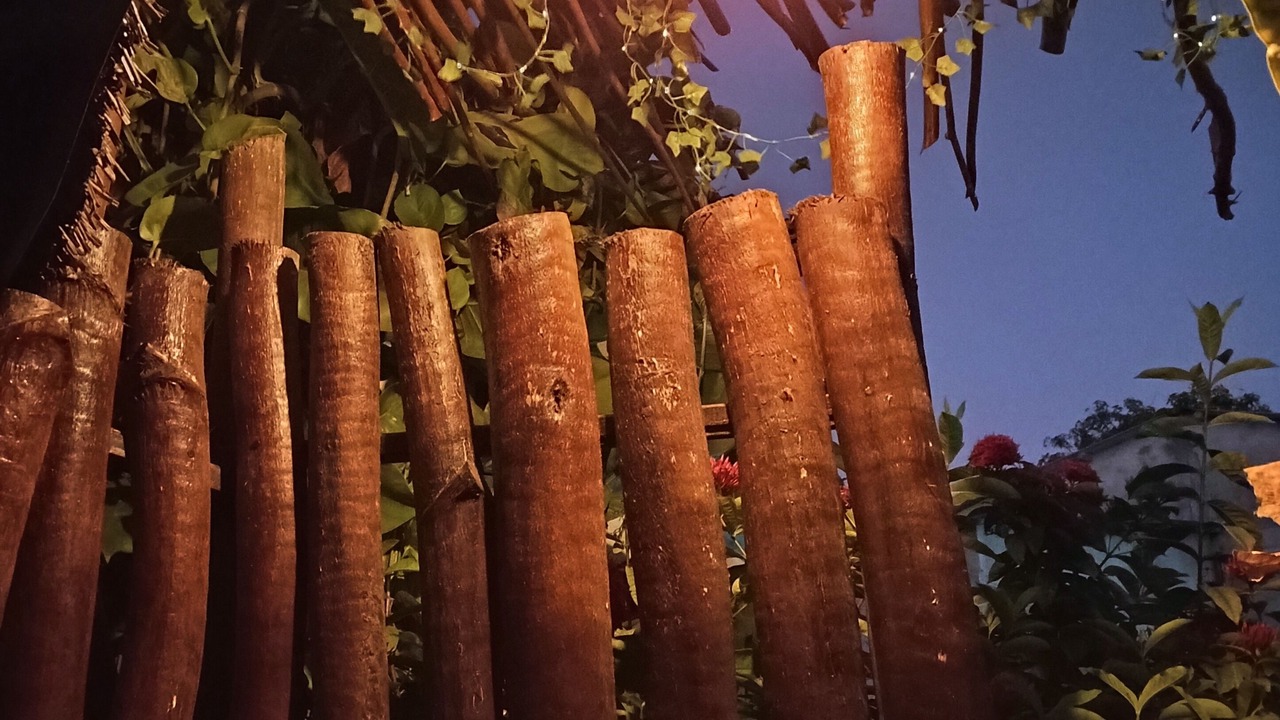 Photo of Others in Goidhoo