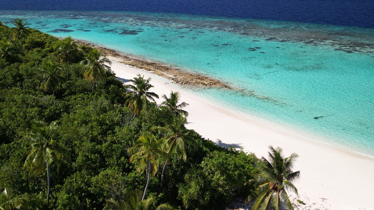Photo of Others in Gaafu Alifu Atoll