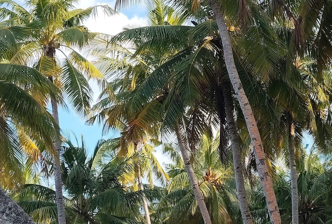 Photo of Others in Gemanafushi