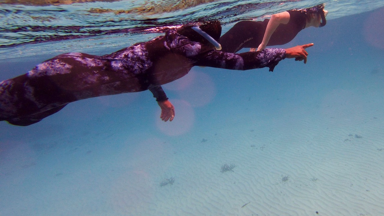 Photo of Others in Gaafu Alifu Atoll
