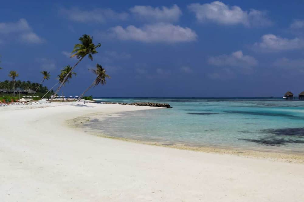 Photo of Others in Huraa