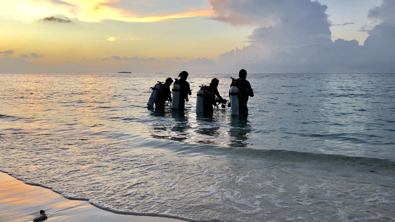 Photo of Others in Maalhos