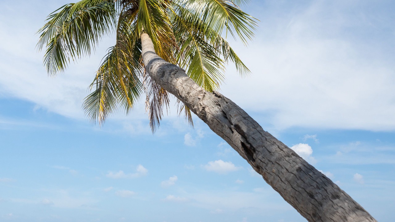 Photo of Outdoor in Maalhos