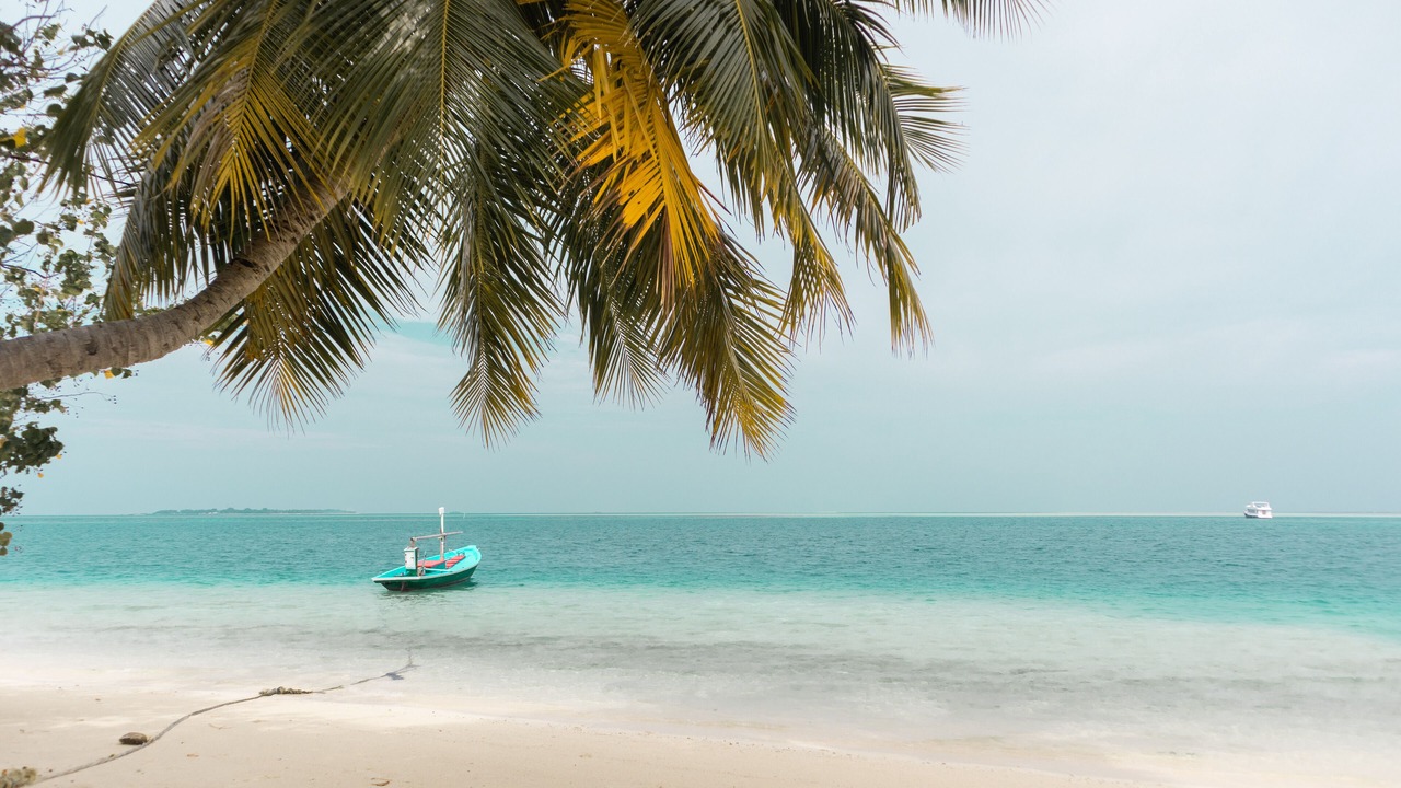 Photo of Others in Magoodhoo