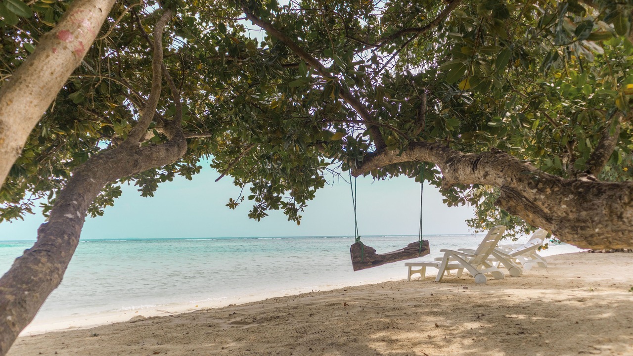 Photo of Outdoor in Magoodhoo