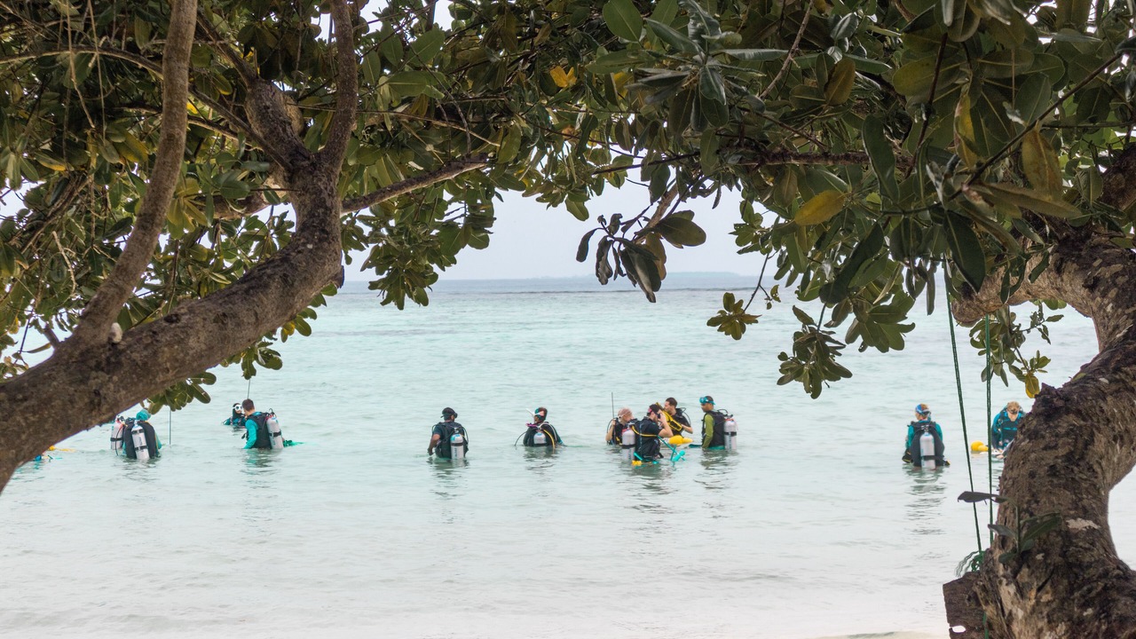 Photo of Outdoor in Magoodhoo