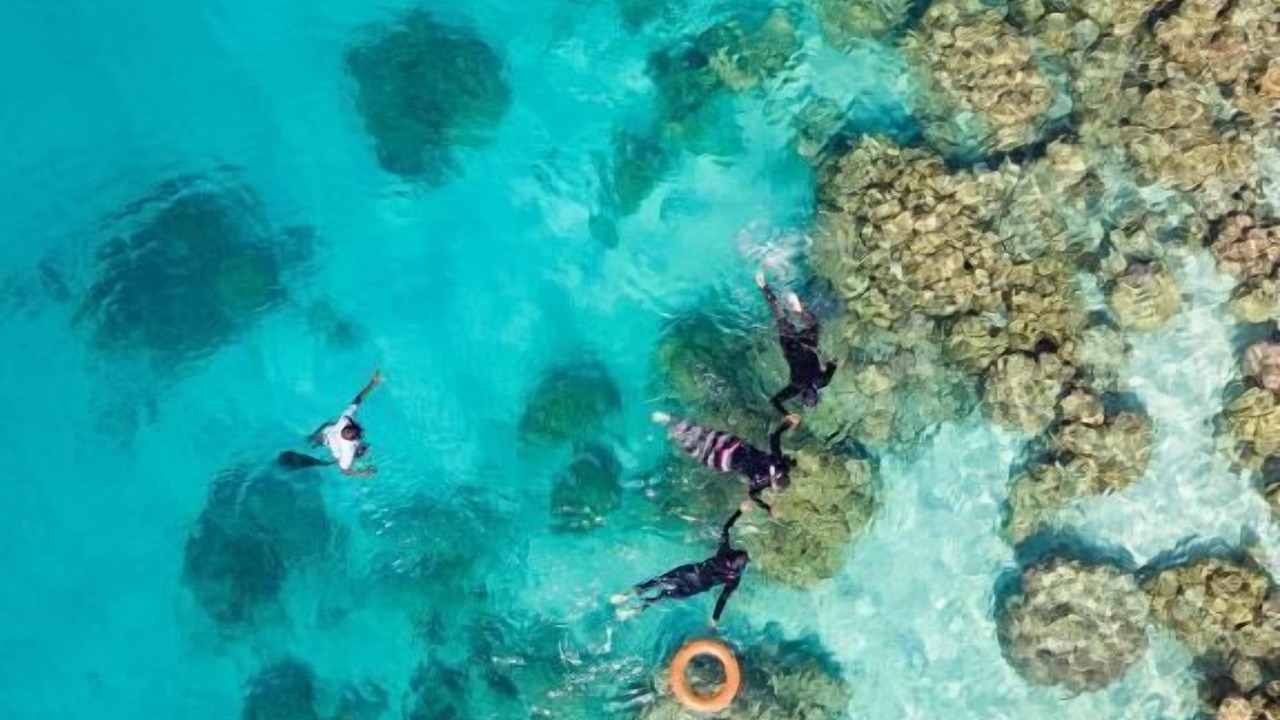 Photo of Others in Naifaru