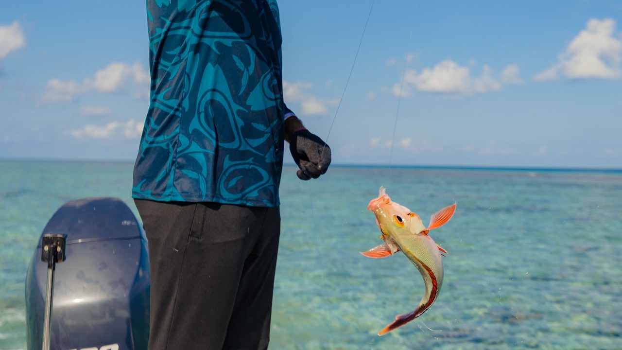 Photo of Others in Gaafaru