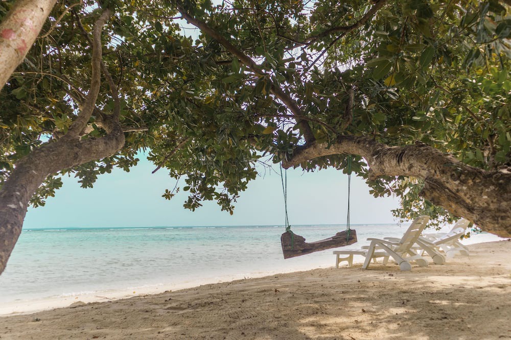 Photo of Others in Magoodhoo