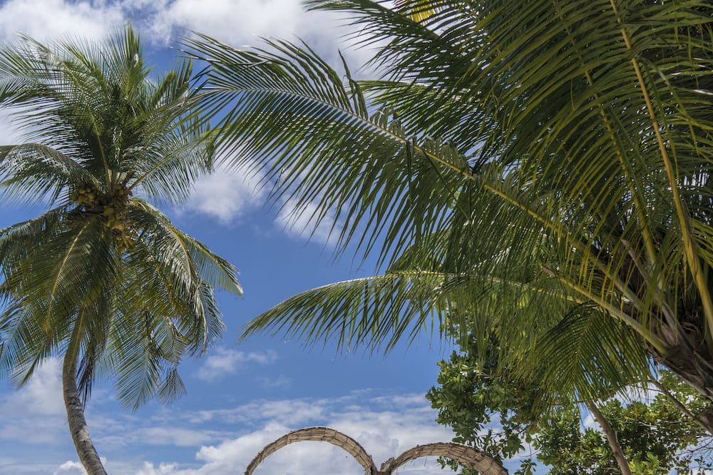 Photo of Others in Magoodhoo
