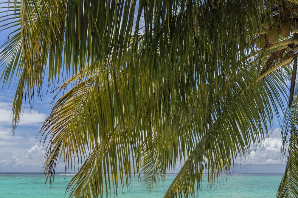 Photo of Others in Magoodhoo