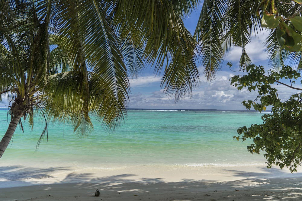Photo of Others in Magoodhoo
