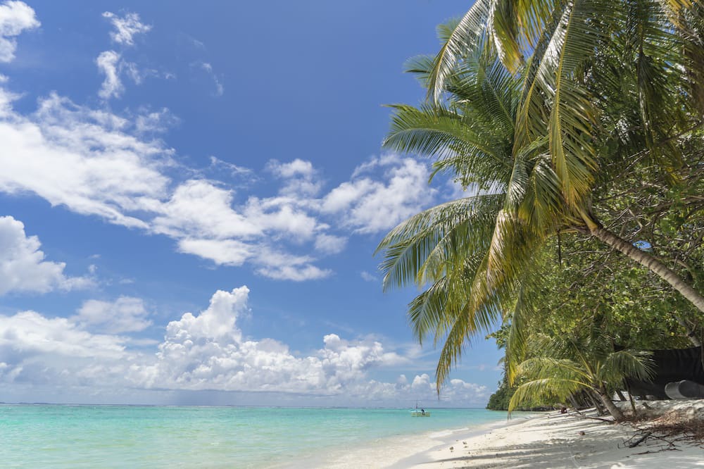 Photo of Others in Magoodhoo