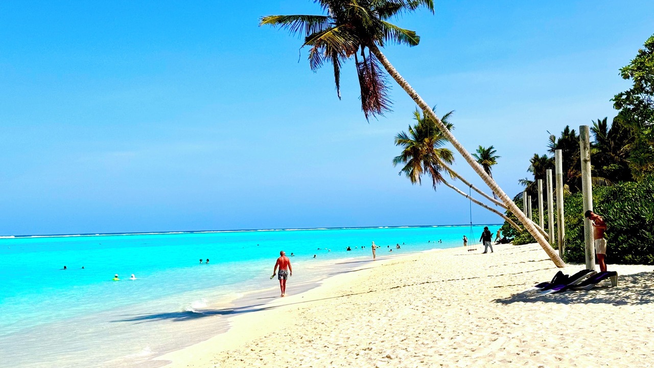 Photo of Others in Thoddoo