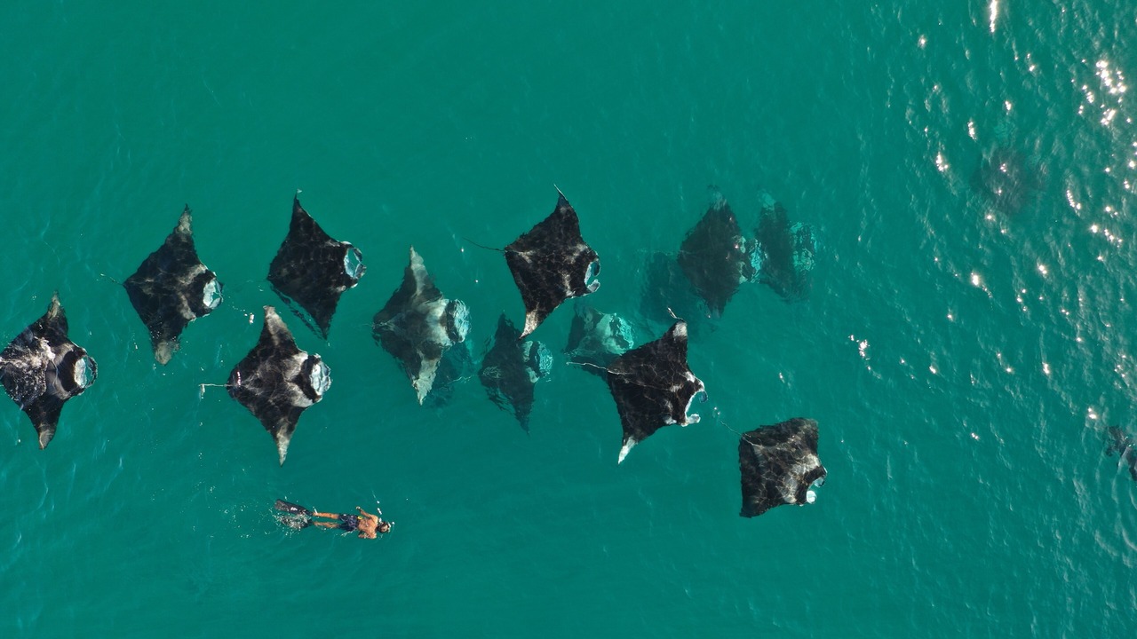 Photo of Others in Maalhos