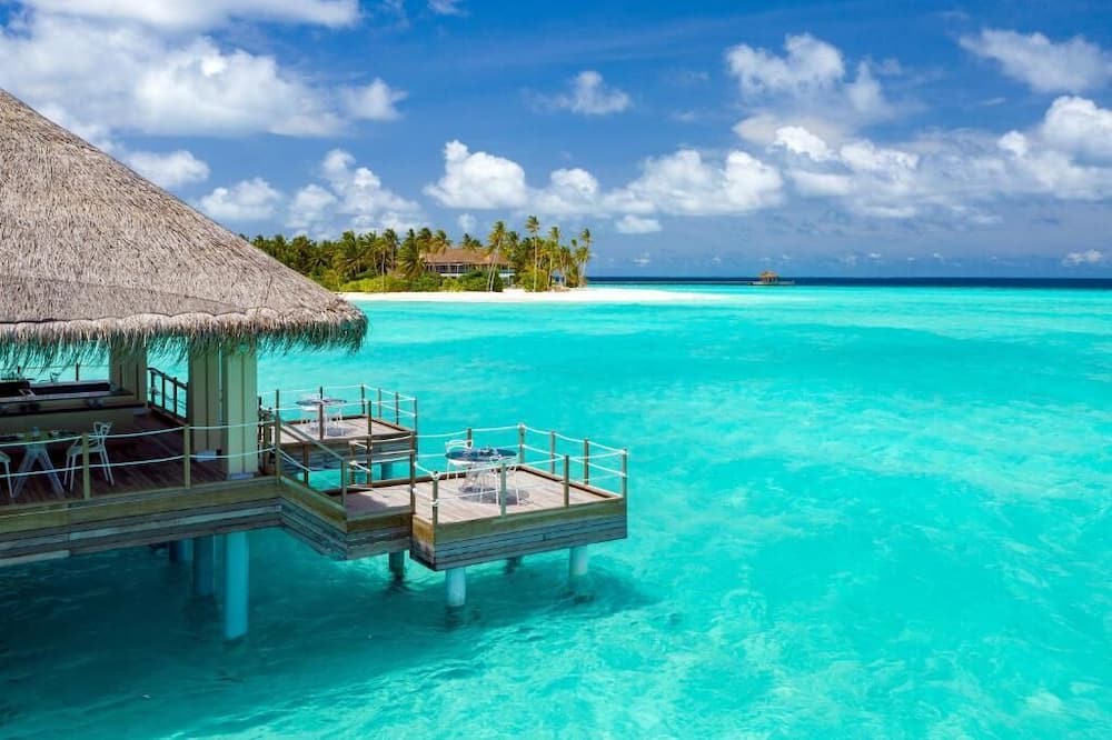 Photo of Others in Rinbudhoo