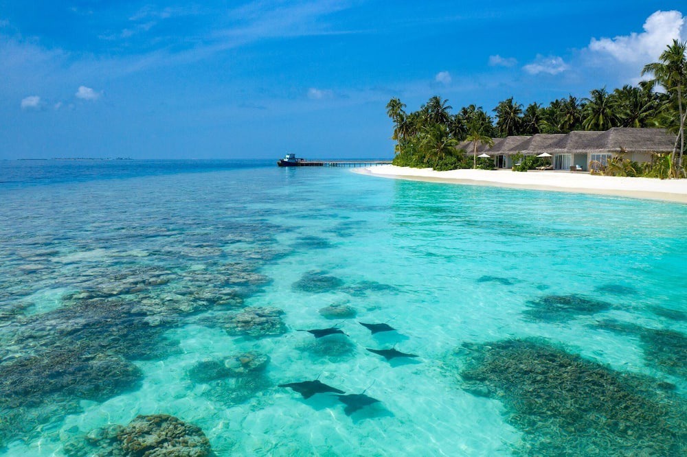 Photo of Others in Rinbudhoo