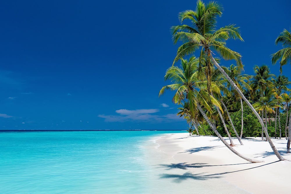 Photo of Others in Rinbudhoo