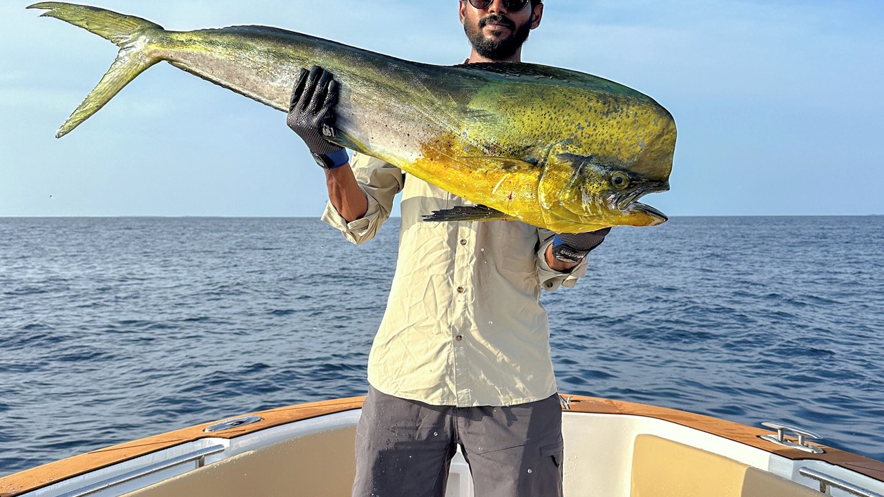 Photo of Others in Gaafaru