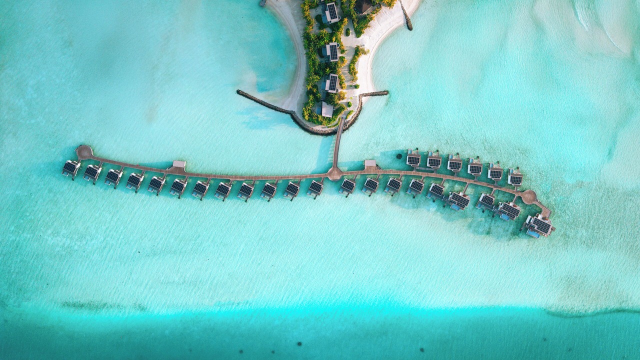 Photo of Outdoor in Male