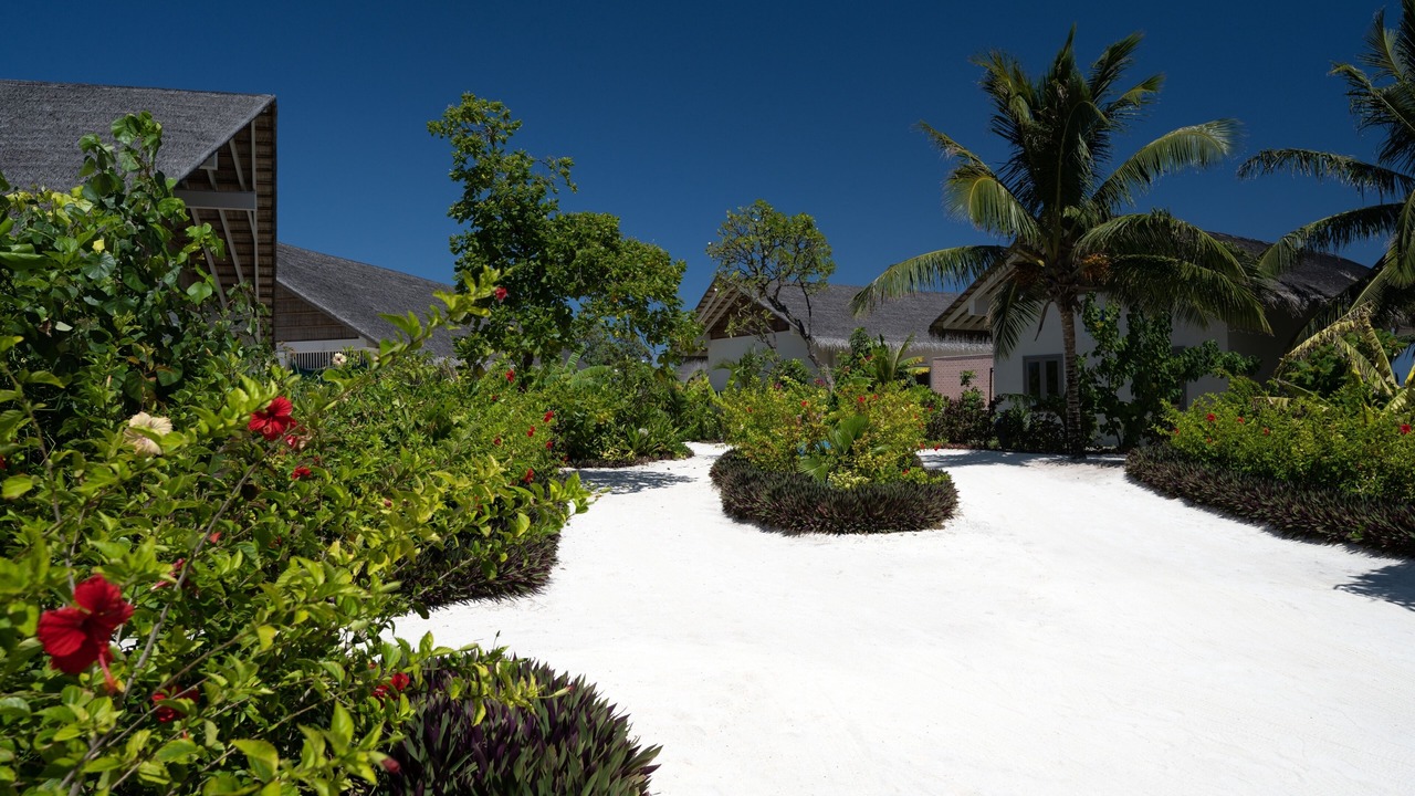 Photo of Outdoor in Maamigili Island