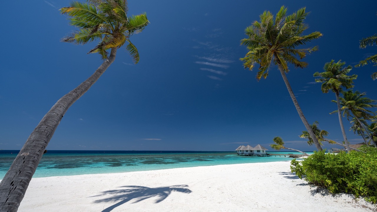 Photo of Others in Maamigili Island