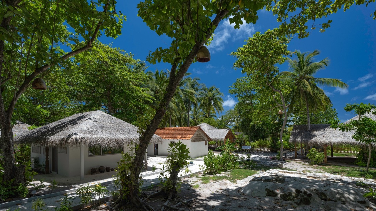 Photo of Others in Maamigili Island