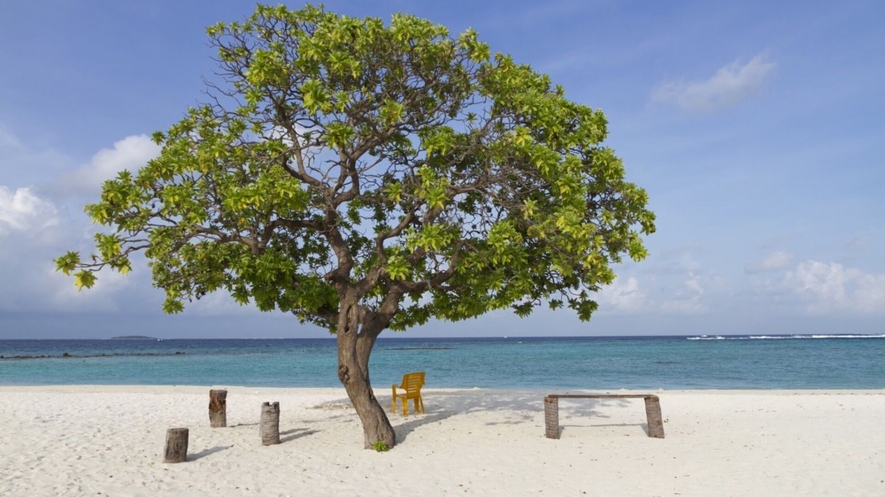 Photo of Others in Finolhas Island