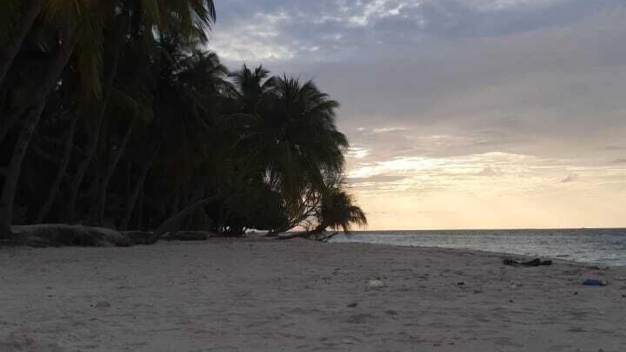 Photo of Others in Dharavandhoo