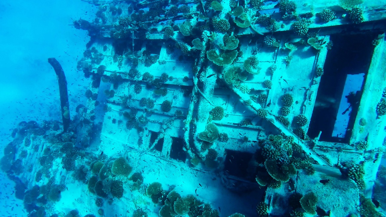 Photo of Others in Guraidhoo