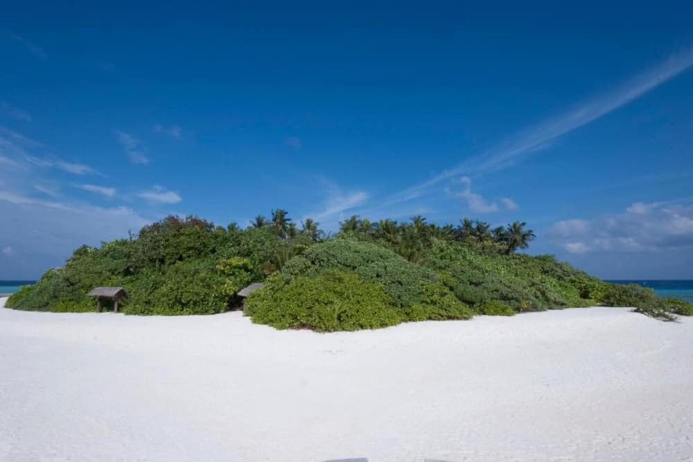 Photo of Outdoor in Male
