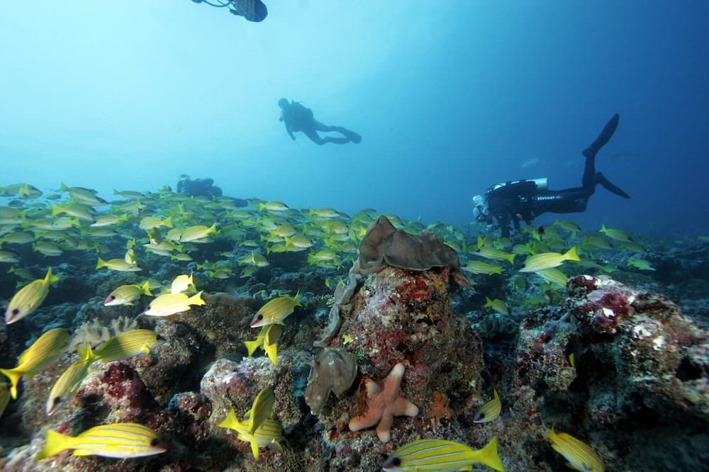 Photo of Others in Thulusdhoo Island