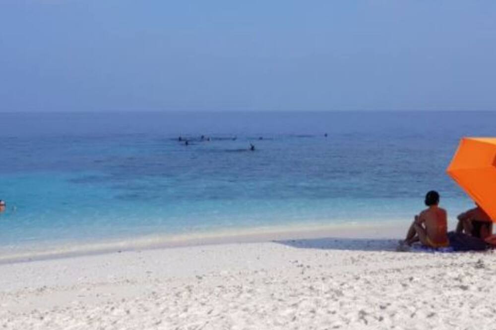 Photo of Others in Thulusdhoo Island
