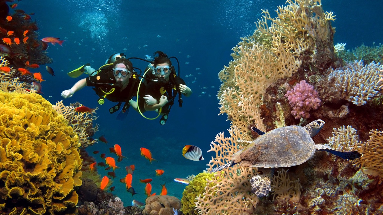 Photo of Outdoor in Baa Atoll