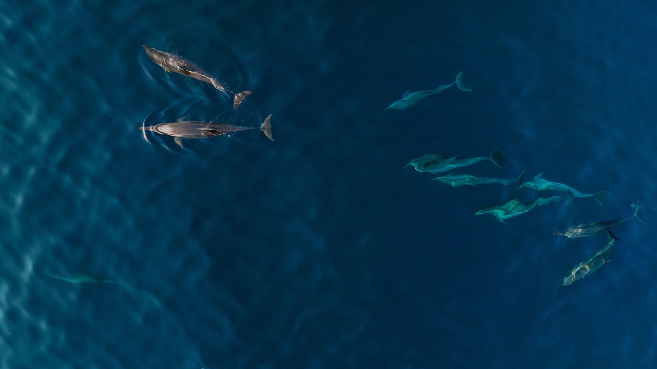 Photo of Outdoor in Baa Atoll