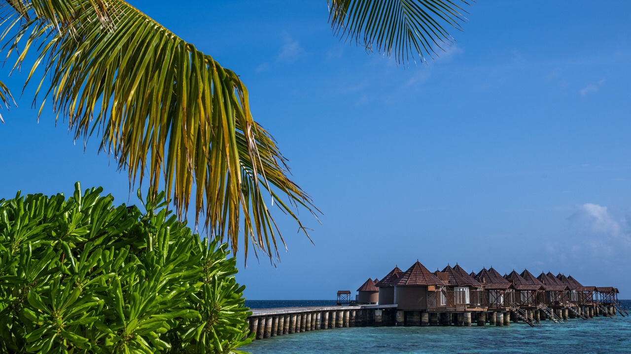Photo of Others in Kudafolhudhoo