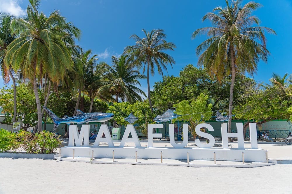 Photo of Others in Maafushi