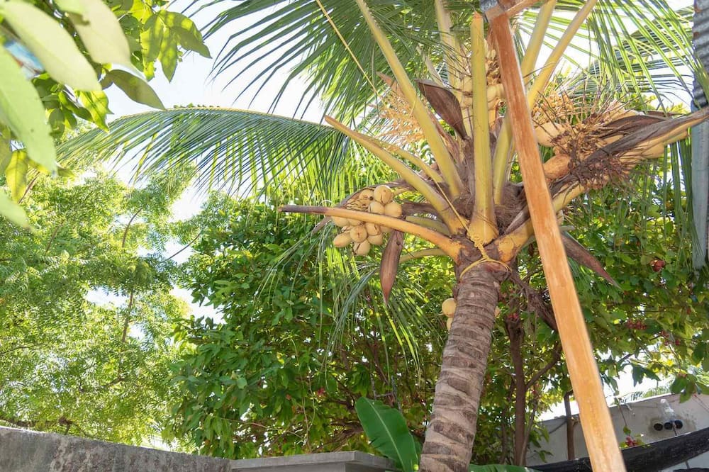 Photo of Outdoor in Maafushi