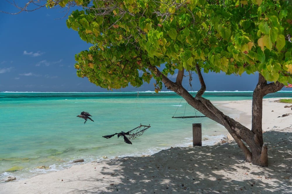 Photo of Others in Maafushi