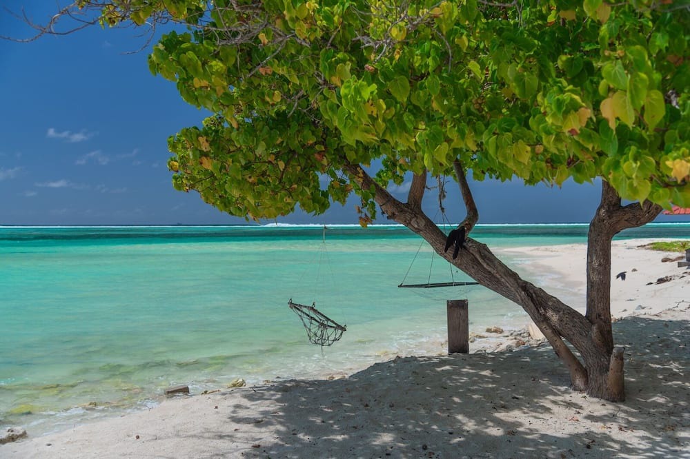 Photo of Others in Maafushi