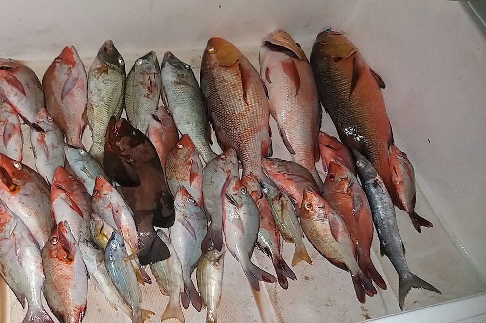 Photo of Others in Maafushi