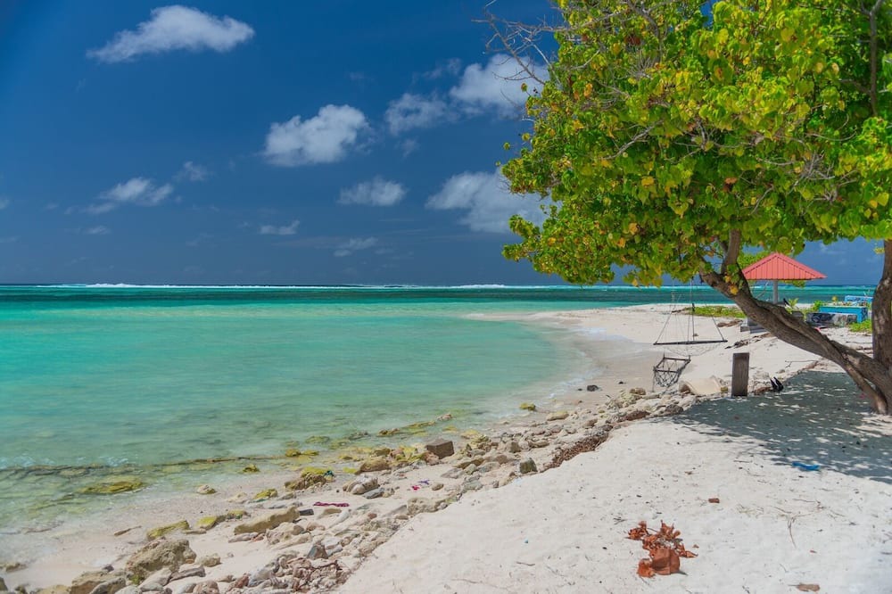 Photo of Others in Maafushi